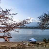 东京看到的富士山