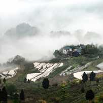 雾里山乡